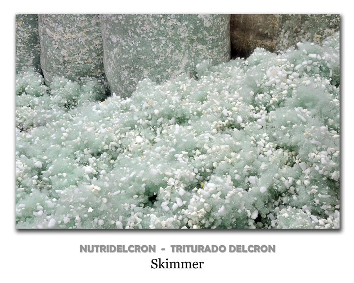 Nutridelcron
